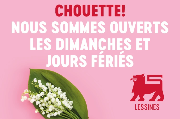 Delhaize Lessines